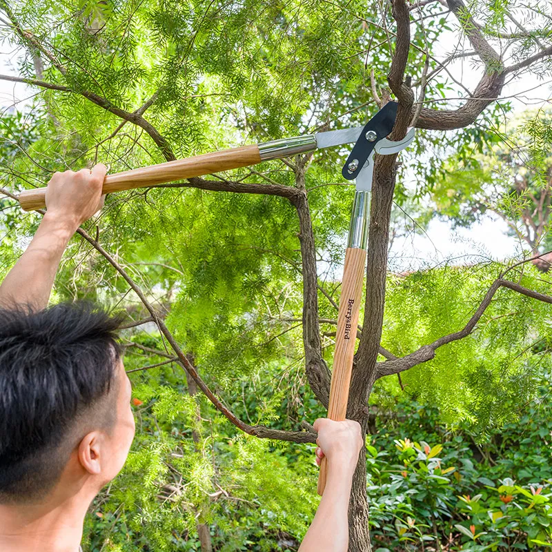Horticulture forest thick branch shears pruning fruit trees large scissors strong long handle special tools