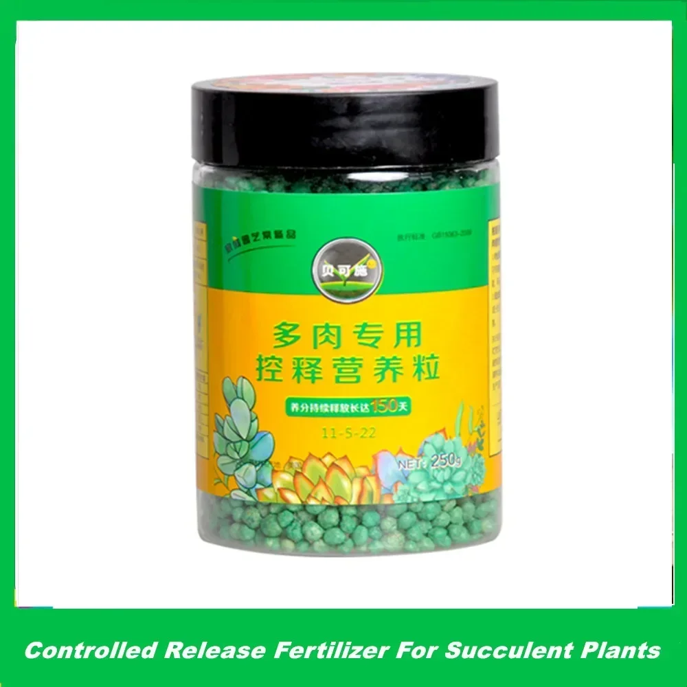 250g Succulent Plant Special Controlled-release Fertilizer Slow-release Fertilizer Long-acting Compound Fertilizer