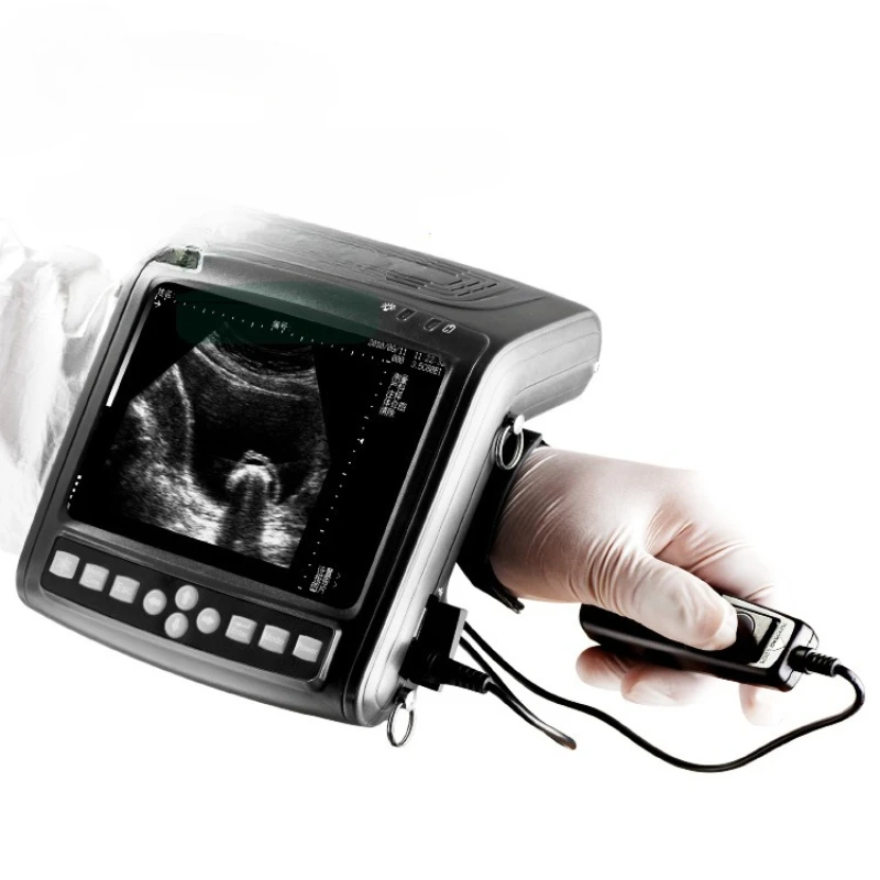 Pig, Cattle, Sheep, Horse B Ultrasound Special Pregnancy Tester for Sows Pregnancy Diagnostic Instrument Animal Husbandry