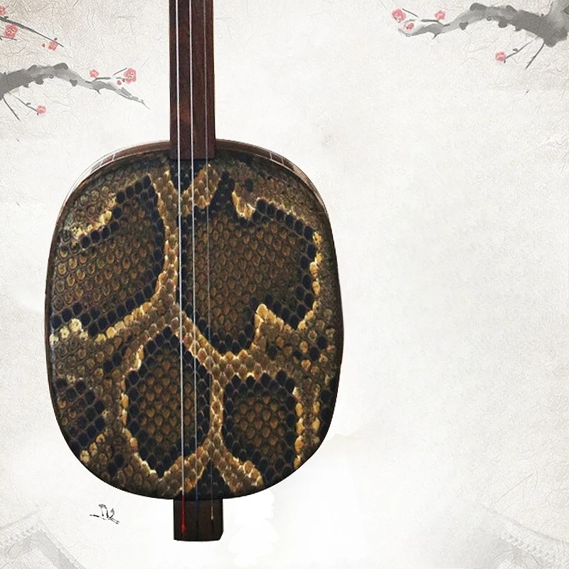 Erhu, professional black rosewood veneer, big three strings, national musical instruments, folk music accessories