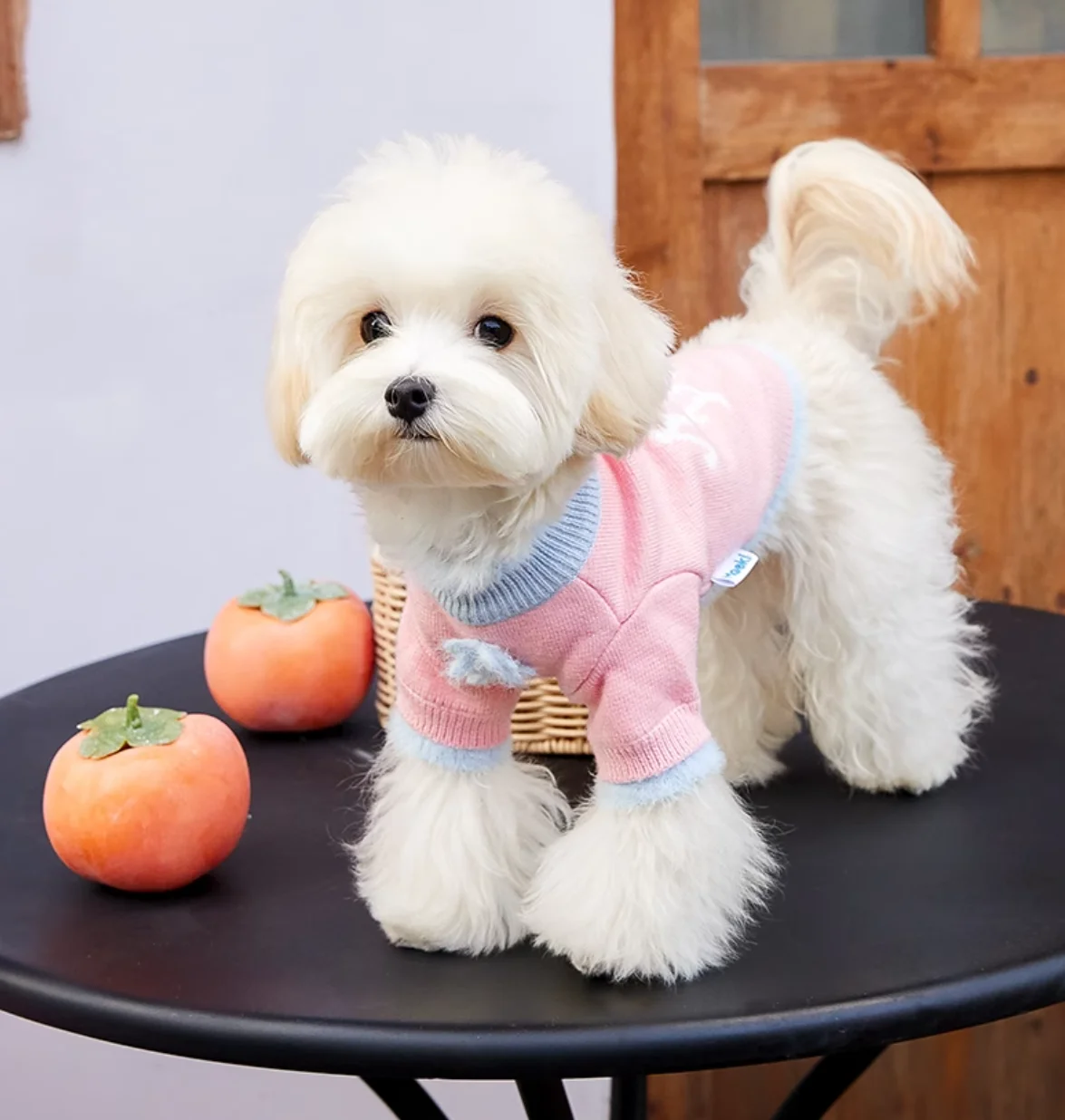 Soft Cotton Sweater for Pets, Small Dog Clothing, Cute French Fries Printed, High Quality Design Jacket for Cats and Animals