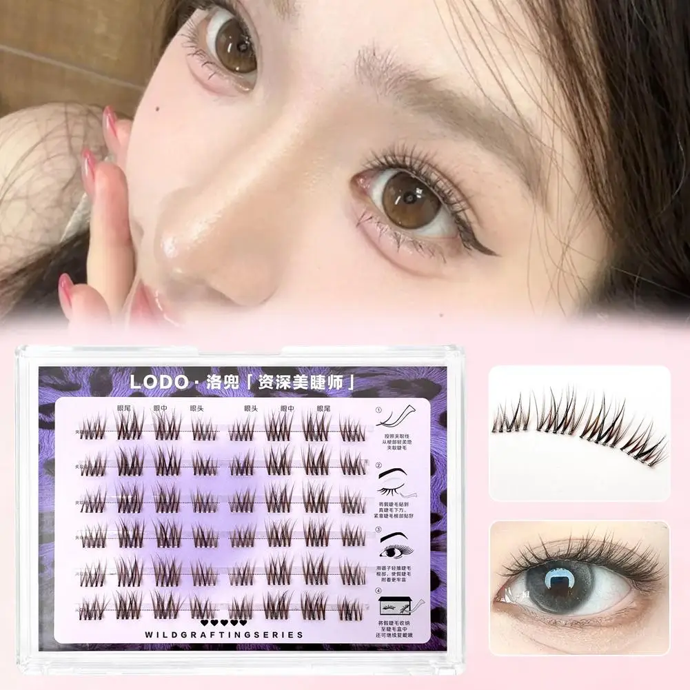 Braune Cluster-DIY-Wimpern, individuelles Volumen, falsche Cluster, braune Cluster, falsche schwarze Wimpern, farbiges Make-up und Wimpern A5F5