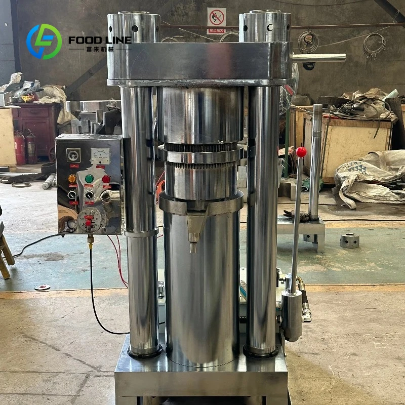 Customized Hydraulic Vertical Oil Press Olive Sesame Nuts Peanut Coconut Extractor Home Commercial Stainless Steel Oil Making Ma