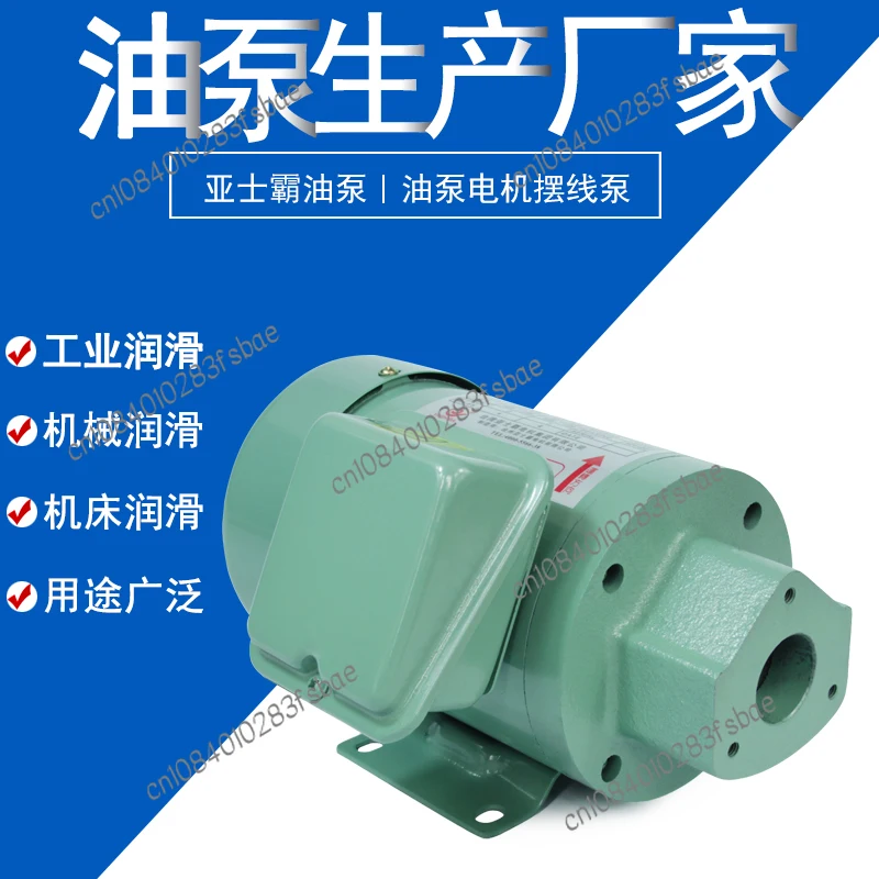 Hydraulic Oil Pump Gear  High Pressure Circulation Lubrication Gerotor Pump Top11a 12A 13A Small Electric Oil Pump