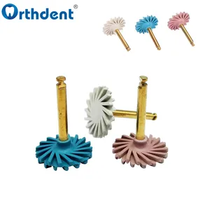 Zahnkautschuk -Polieren, Harz -Verbundscheiben, Diamond Burs System, RA Polnisch Zahnmedizin, Flex -Werkzeuge Spirale, 6pcs pro Set 10 Hauptharzpolierscheibe - №5