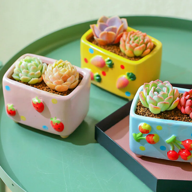 Pastoral Succulents Relief Fruit Flowerpot Ceramic Simple Bonsai Desktop Green Plants