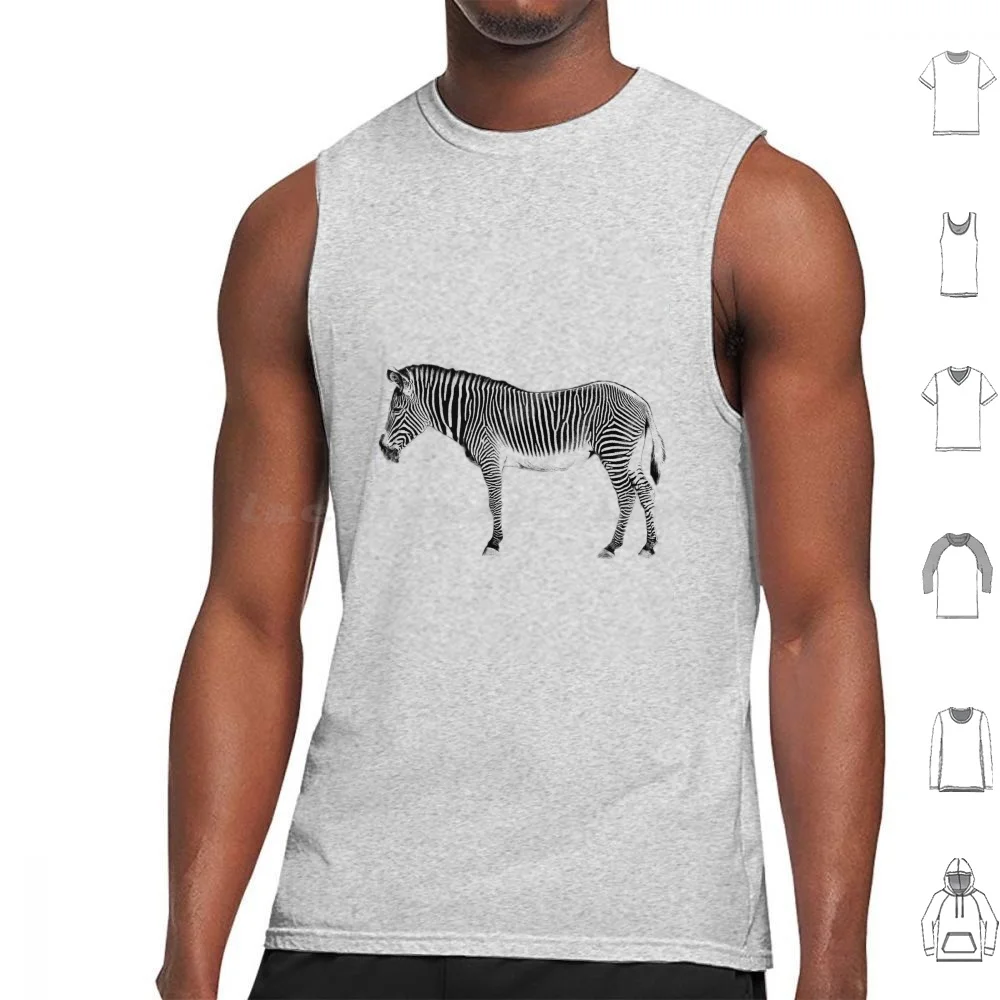 African Mammal. Wildlife Digital Engraving Image. Tank Tops Vest Sleeveless African Mammals Art Pictures Images Illustrations