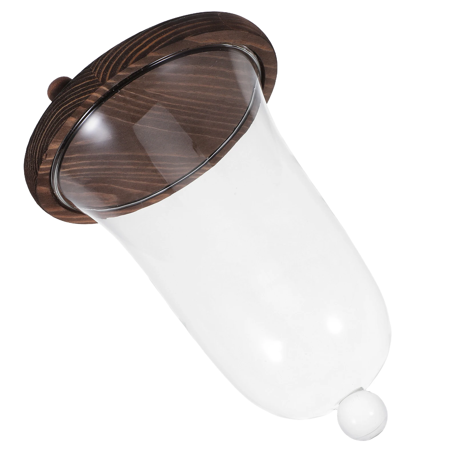 

1Set Eternal Flower Glass Cover Elegant Dried Flower Display for Desktop Home Study Decoration DIY Handicraft Ornament