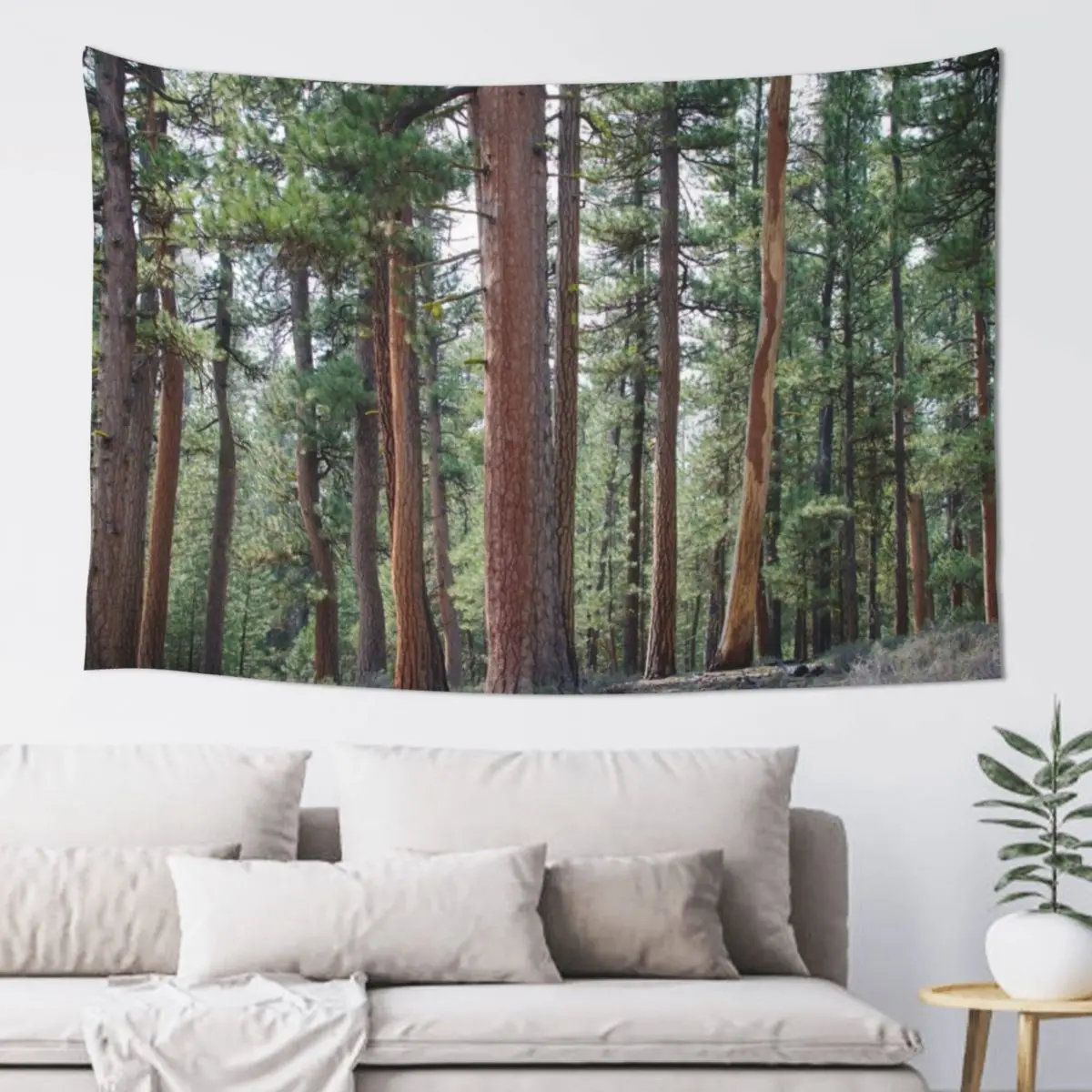 

Ponderosa Pine Forest Tapestry Bedroom Deco Wallpapers Home Decor Aesthetic Room Decors Room Decorations Tapestry