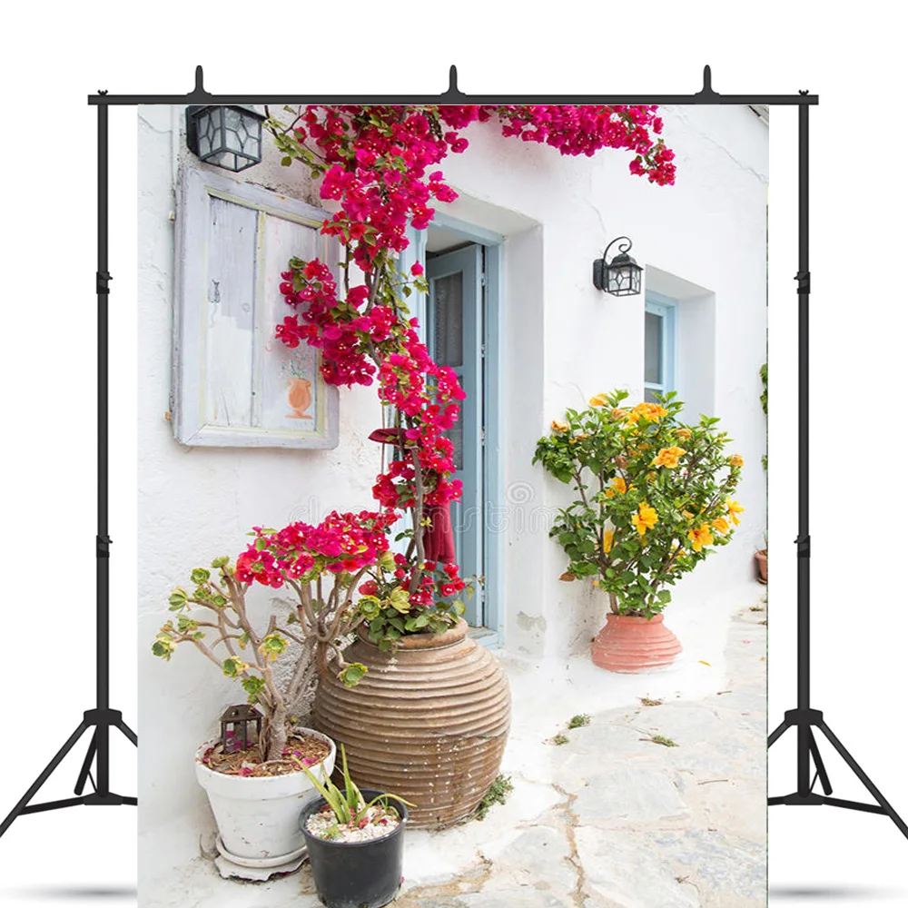 SHENGYONGBAO Европейский стиль ретро уличный морской пейзаж свадебные фотографии для новорожденных и домашних животных