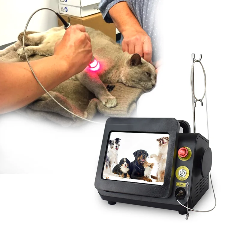 Class IV Best Selling Laser Therapy Pet Clinic Animal Veterinary Physical Therapy Laser 980 Equipment Vet Laser Therapy