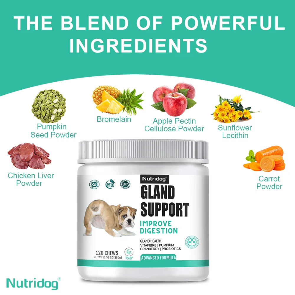 NUTRIDOG الكلب الشرج الغدة دعم اليقطين البذور البروبيوتيك الإنزيمات الهضمية سكوتر الإغاثة صحة الجهاز الهضمي 120 قطعة/زجاجة #4