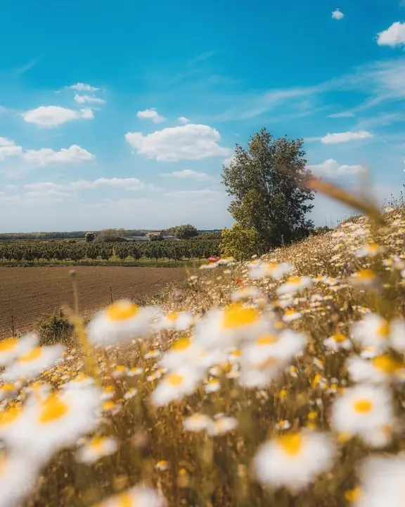 Jx Servo PDI-4503HB…