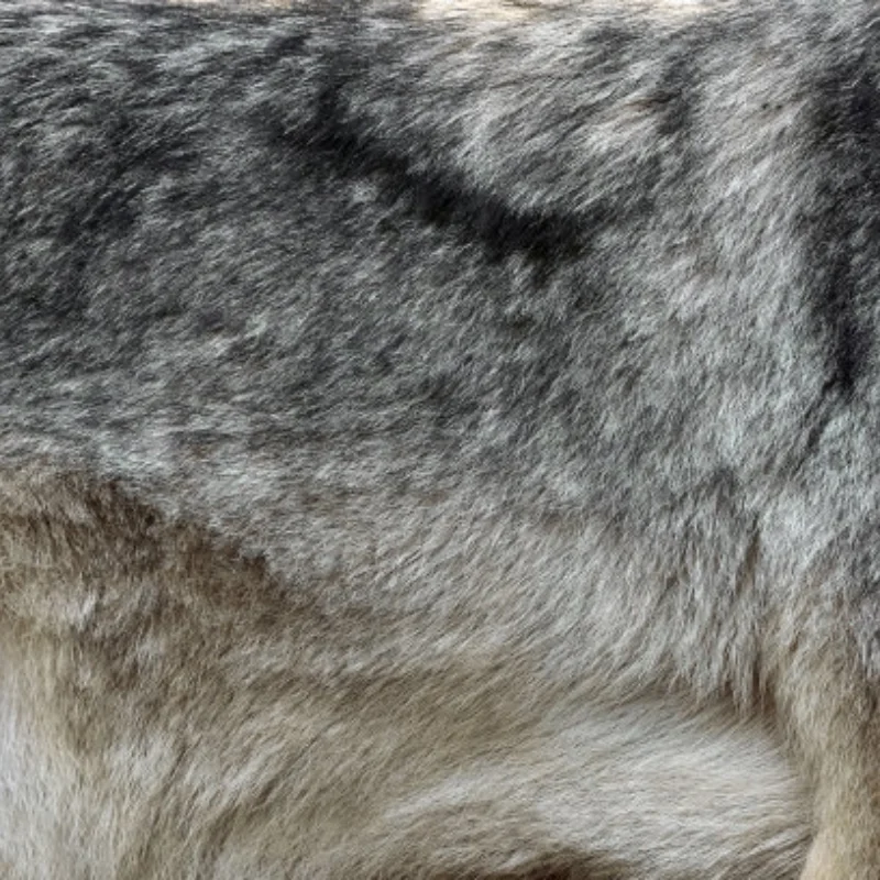 

Алюминиевый сплав с ЧПУ, анодированный, цельнометаллический передний и задний портальный мост для 1/10 C8815 C8835 D888 H1, аксессуары для обновления в стиле ретро