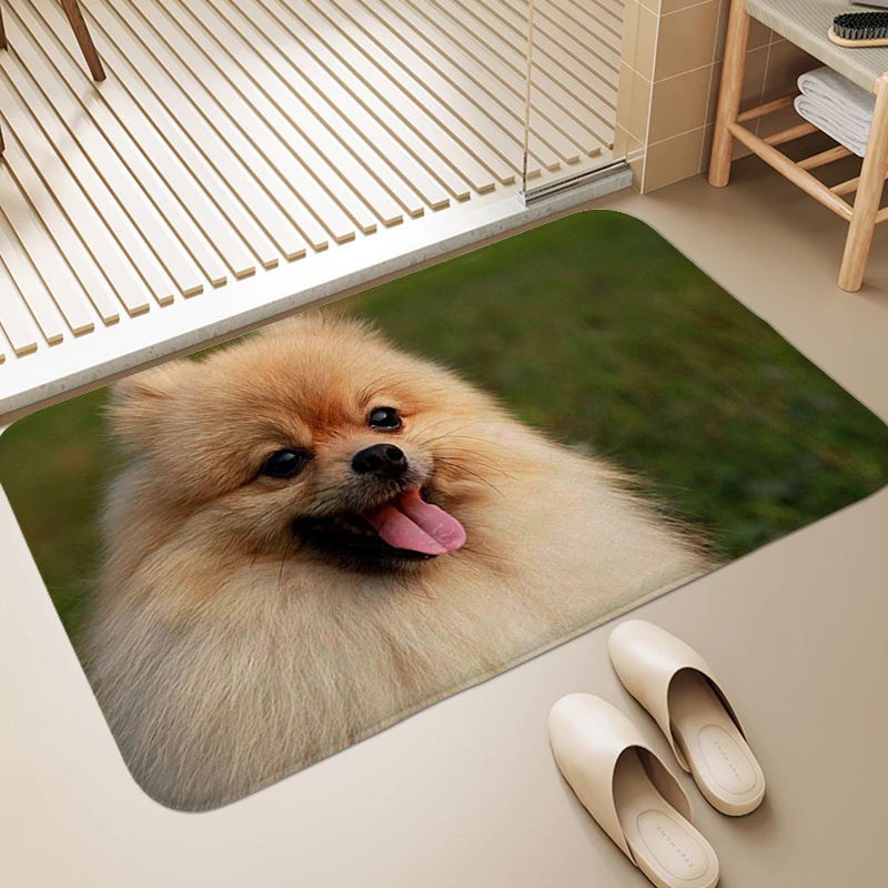 Pomeranian Dog Bathroom Mat Carpet for Bedroom Veranda Floor Mat Doormat Entrance Door Washable Non-slip Kitchen Living Room Rug