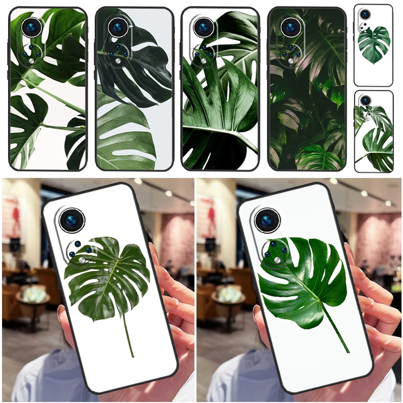 Green Monstera Leaf… - image