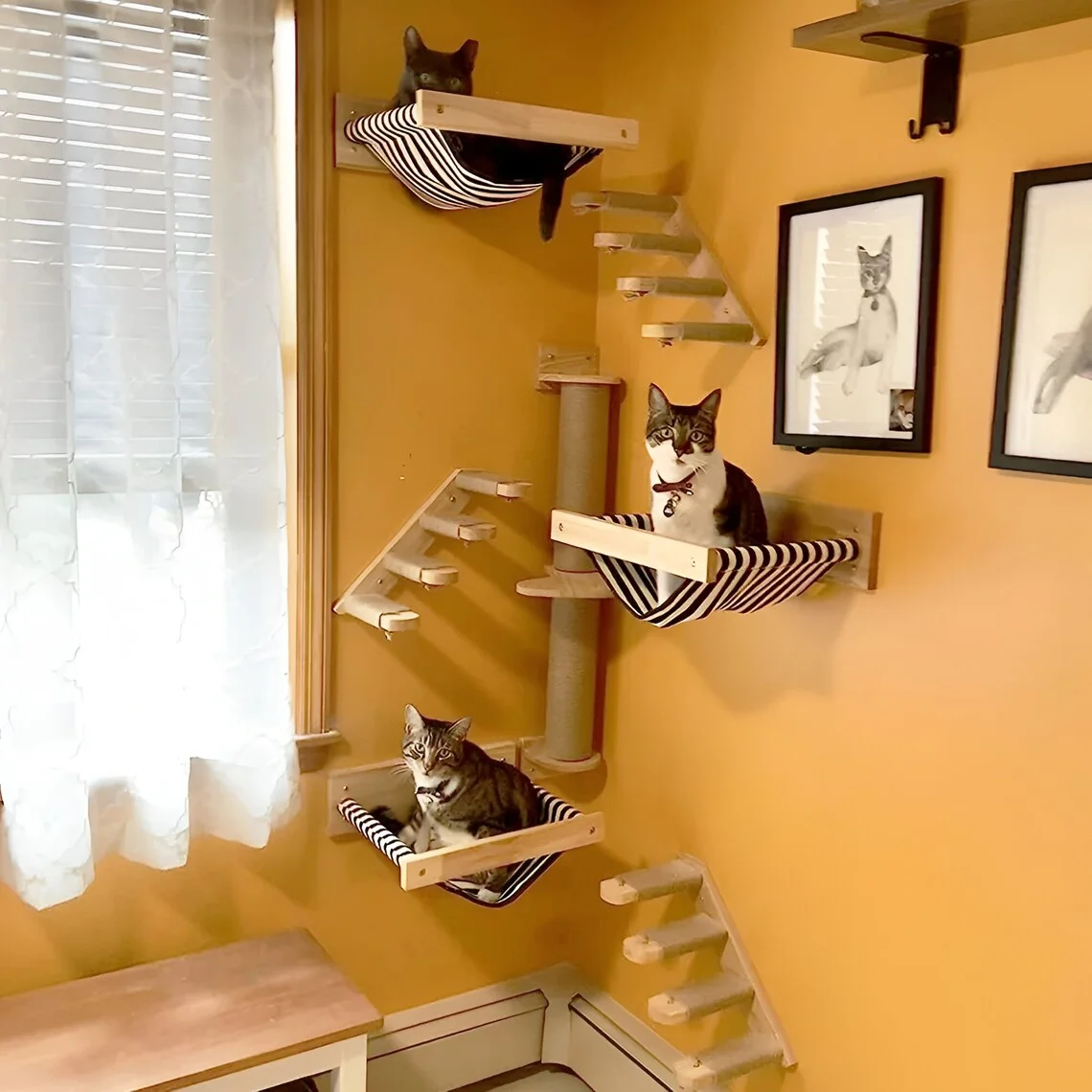 Popular Cat Wall Furniture Set, Cat Shelves With Scratching Post And Hammock