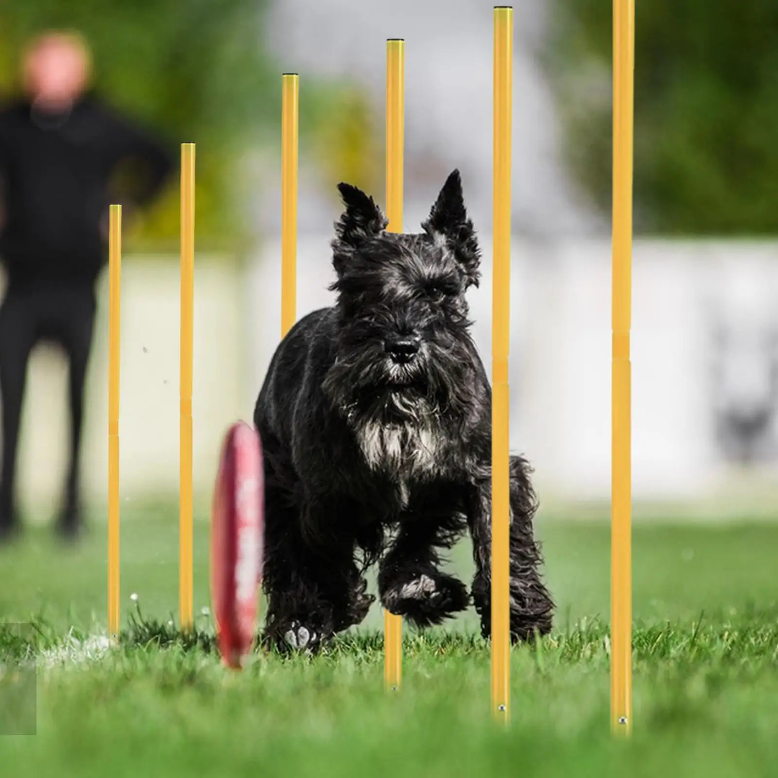 6 Pieces Football Agility Training Poles Football Training Rod Barrier Marking Pole Football Sign Poles for Soccer Competition