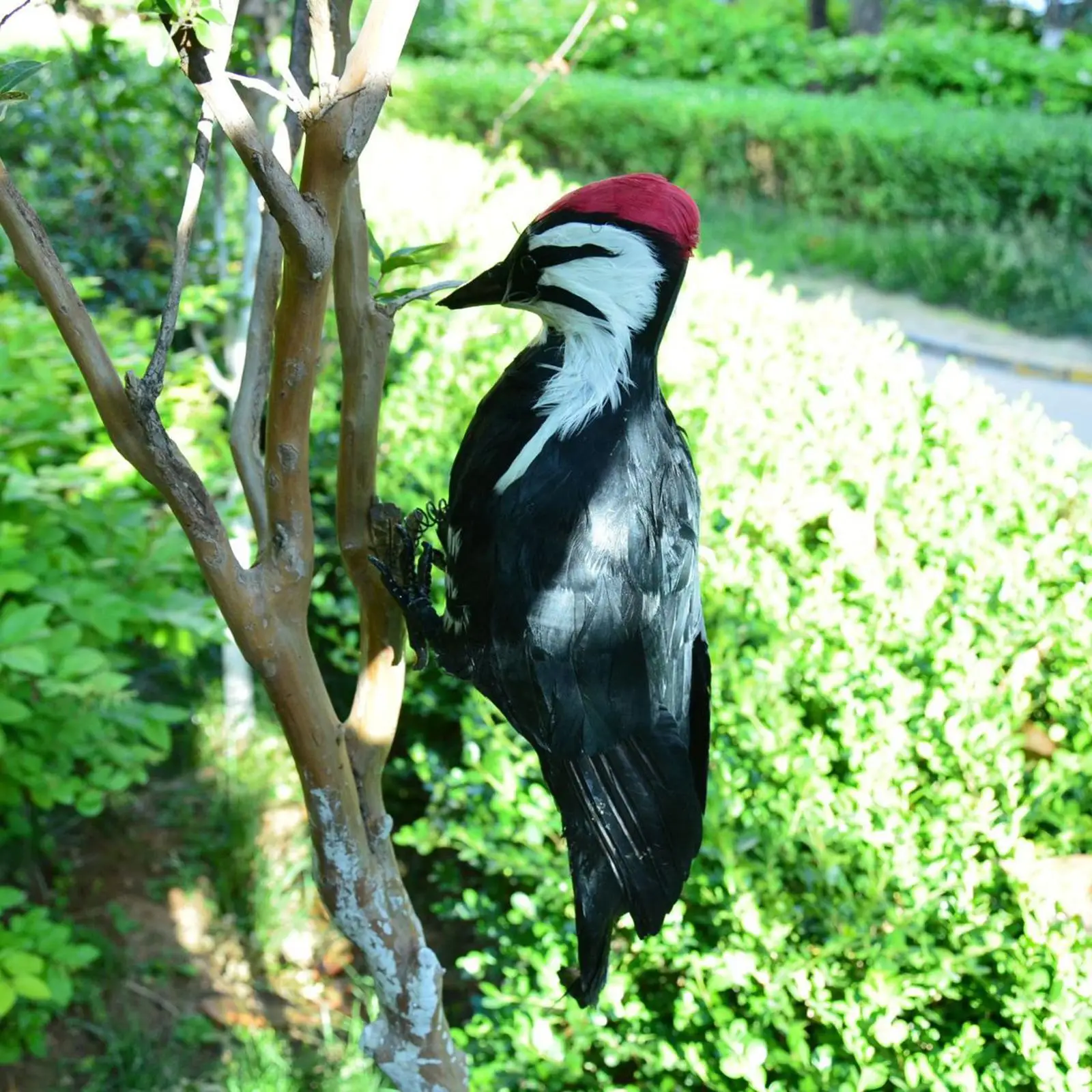 Simulation Woodpecker Handcrafted Spring Bird Statue for Home Decor Ornament