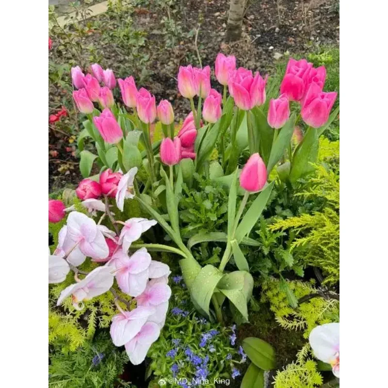 Für LC RACING L6147 1/14 TRUGGY WING wltoys 144001 124019 124017 Upgrade Teile Hard Tail Wing Zubehör Teil Autozubehör