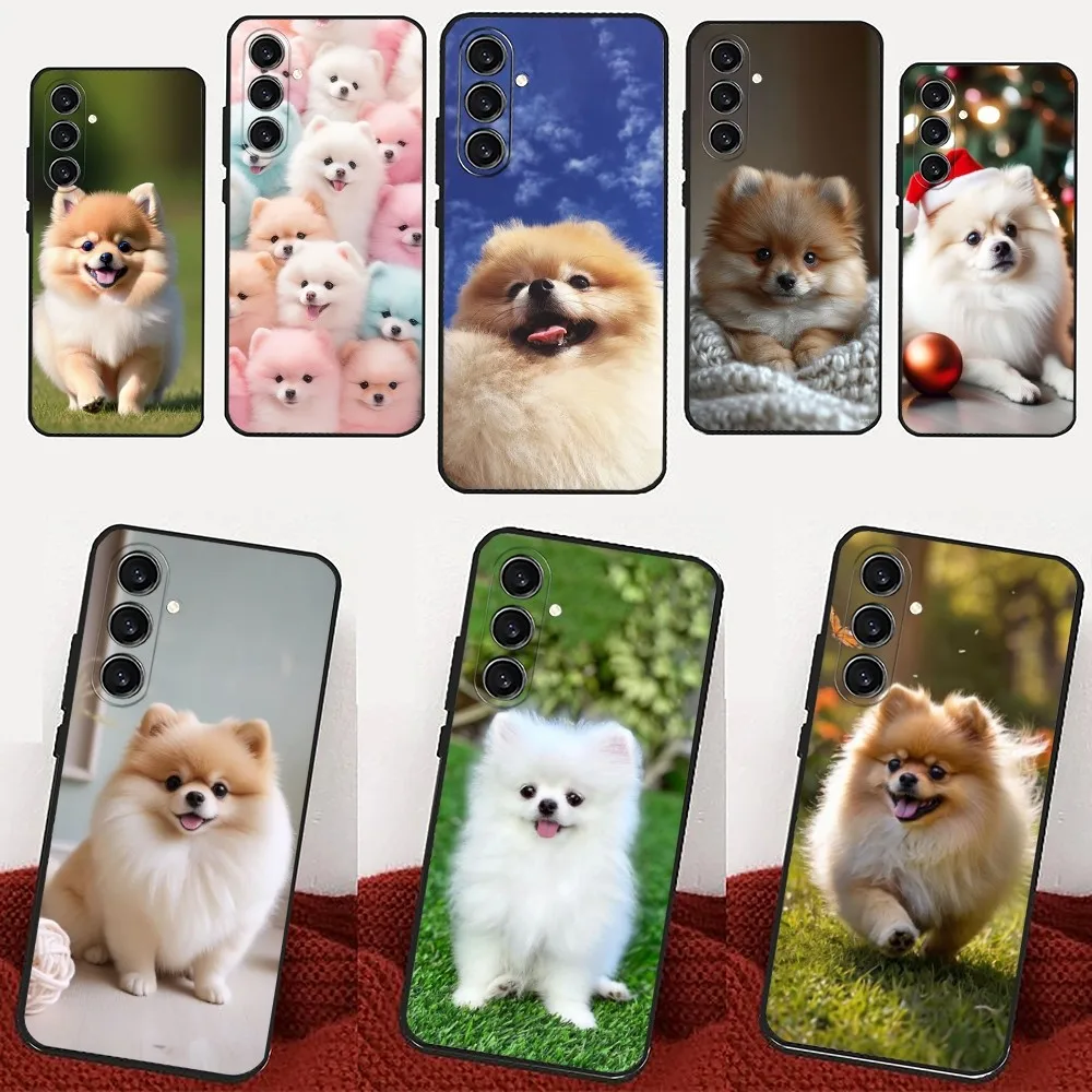 Cute Pomeranian Dogs   Phone Case For Samsung Galaxy A13,21s,22,31,32,52,53,71,80,91 Black Soft Cover