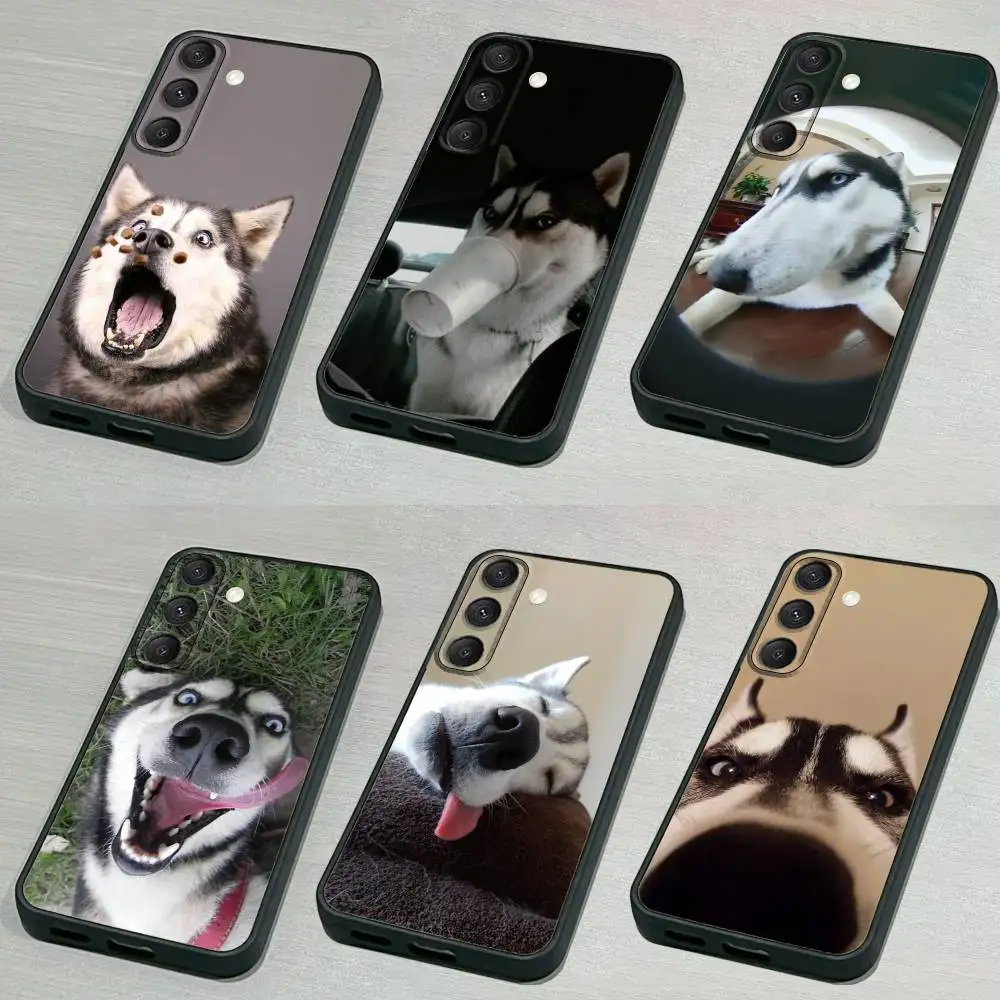 

Siberian H-Husky Dog Phone Case For Samsung S25,S24,S21,S22,S23,S30,Ultra,S20,Plus,Fe,Lite,5G Black Cover
