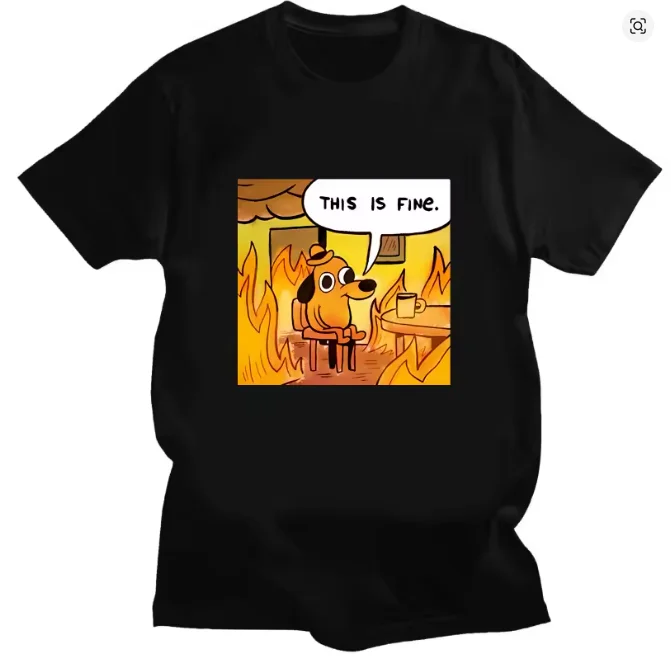 Camiseta Kawaii con meme 'This Is Fine Things Are Going To Be Ok', camiseta creativa, regalo para amigos de Harajuku, camiseta para hombres y mujeres, ropa para hombres