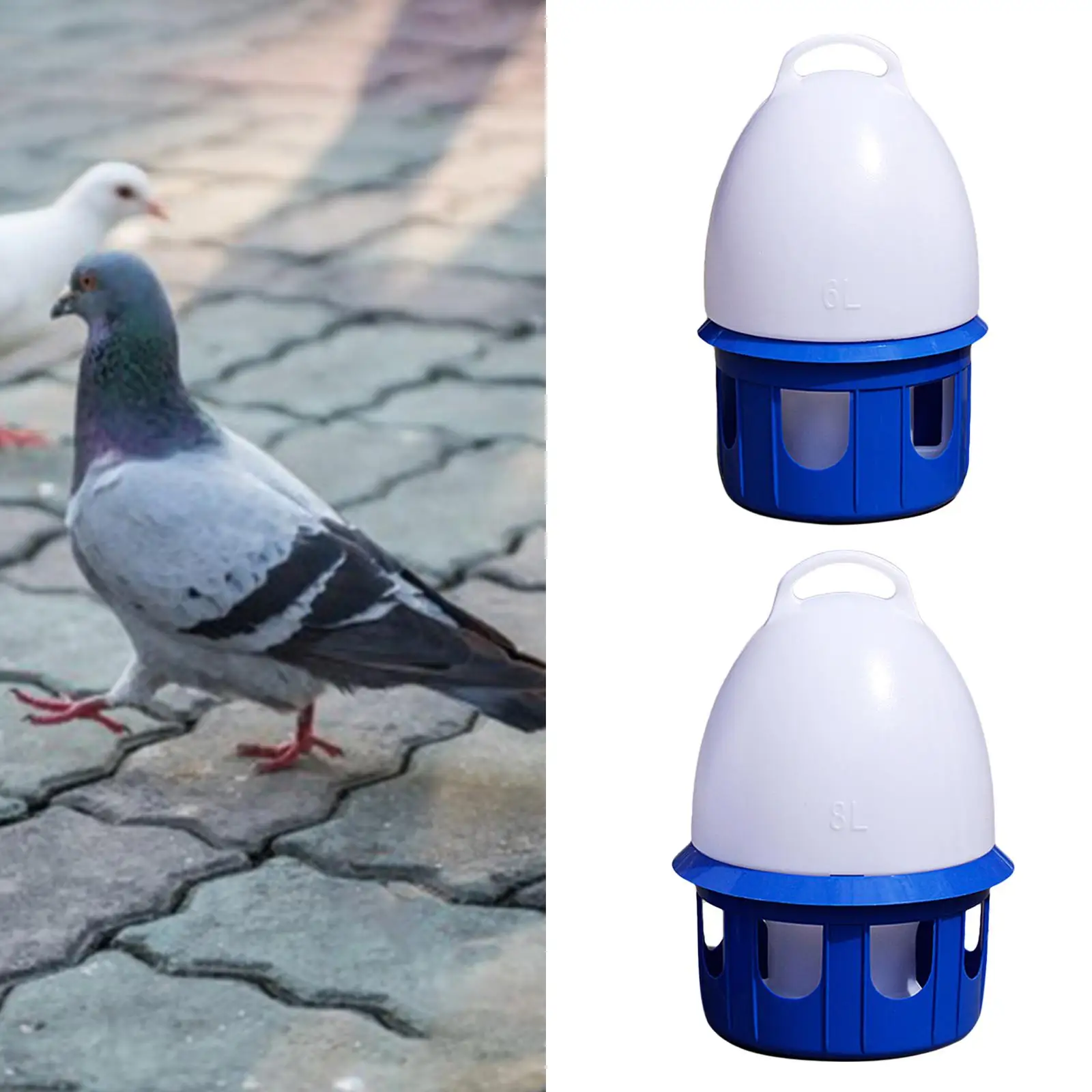 Pigeon Waterer Drinker Water Bottle Feeder Watering Water Feeding Automatic Bird Water Dispenser for Dove Parrot Parakeet Duck