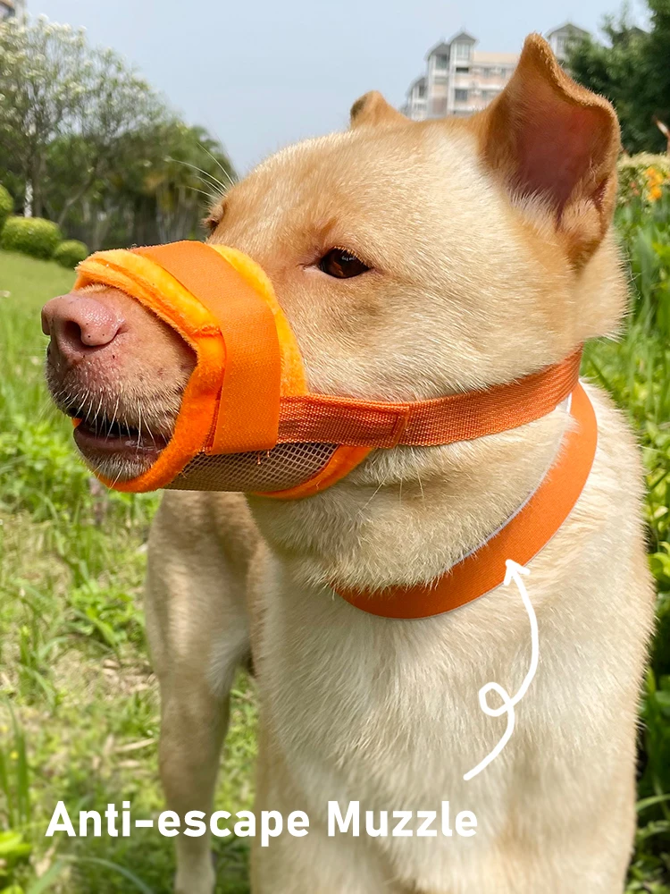 

MOLEE dog muzzle Prevents biting barking and eating secure fits small medium large dogs comfy adjustable drinkable for walking
