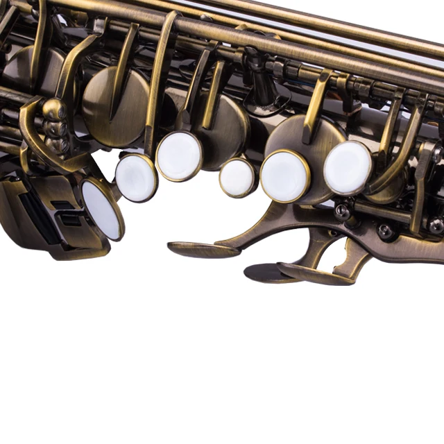 High Grade Professional Brass Alto Saxophone Custom Wind Musical Instrument OEM With Antique Bronze Finish TAISHAN TSAS-660Q