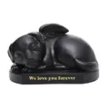 for Dog