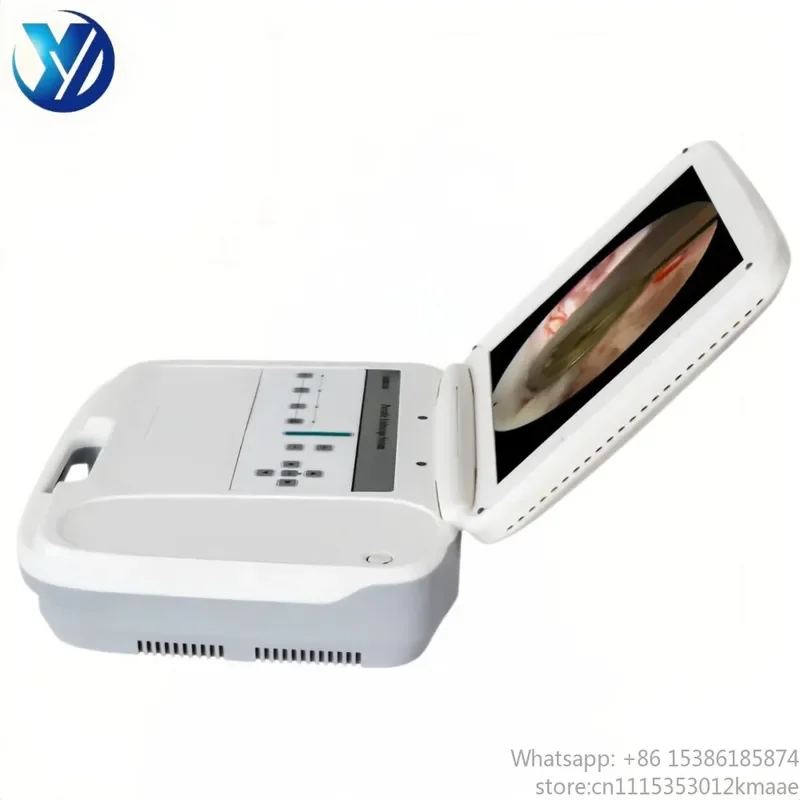 Professional 19-inch FHD 1080P All-in-One Medical Endoscope Camera System for Clinic & Endoscopy