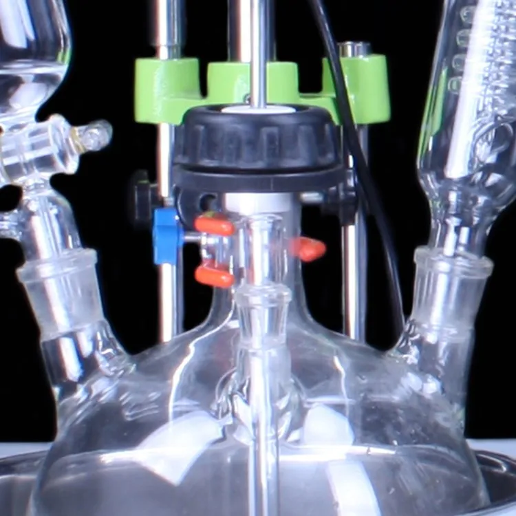 exquisite craftsmanship Extraction equipment 5L glass reactor