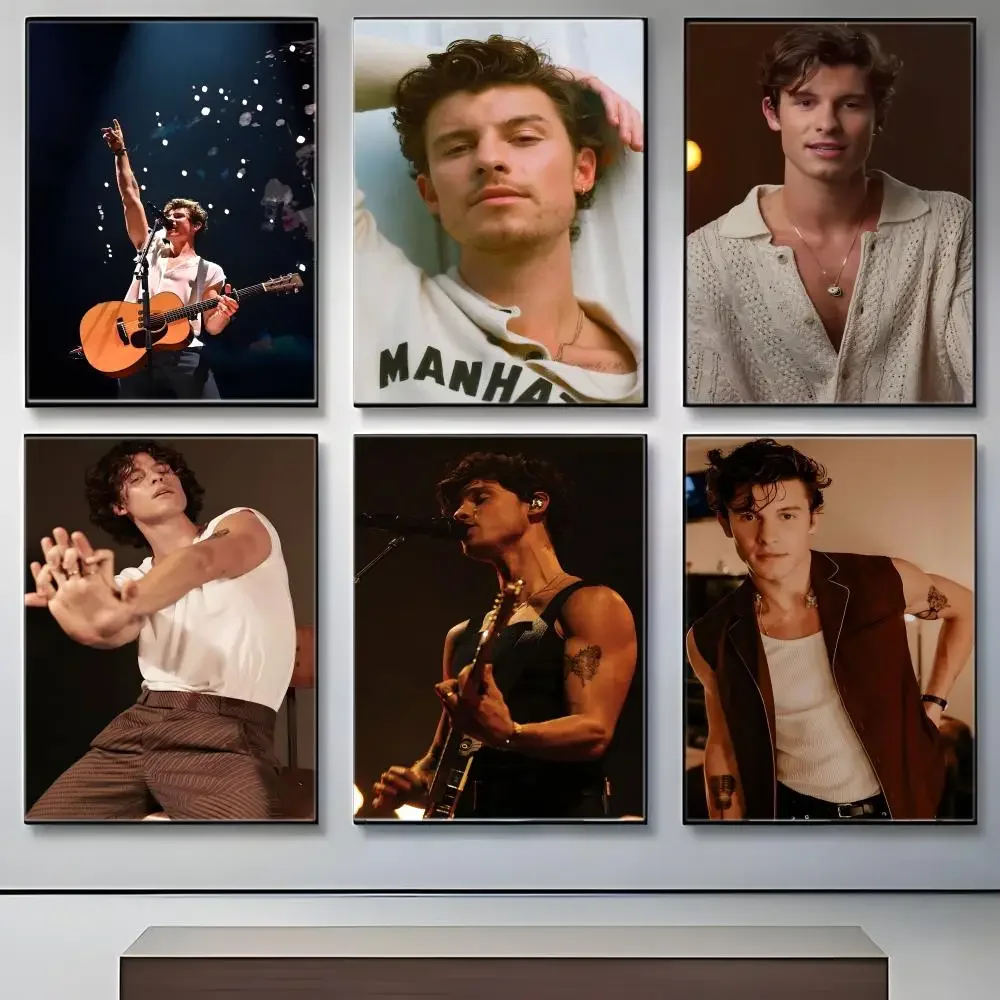 Music S-Shawn M-MendesS Poster Crease Free Waterproof Durable All Space Wall Decor
