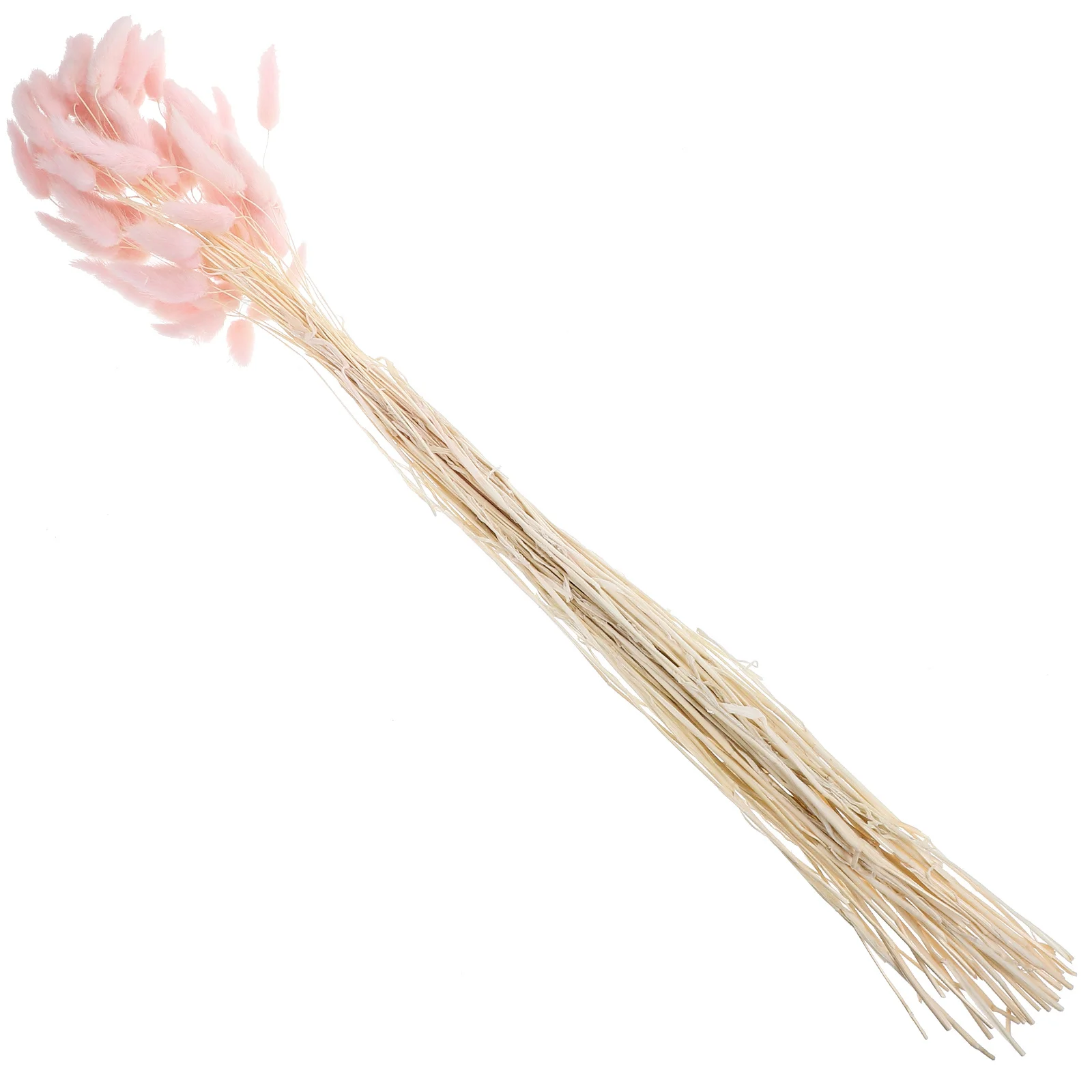 60 個ウサギの尾草ドライフラワー天然植物結婚式家の装飾牧歌的な写真ピンクウサギの尾草