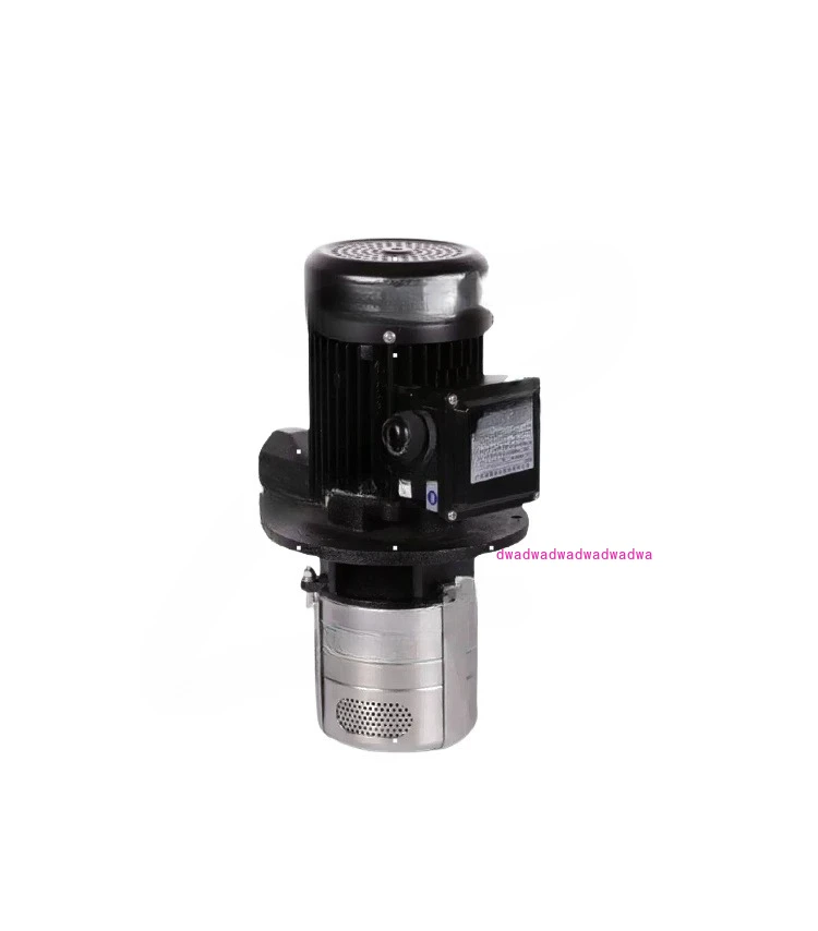 

Stainless Steel Machine Tool Pump Vertical Multistage Centrifugal Cooling Water Pump Immersion Lubricating Circulating Oil Pump