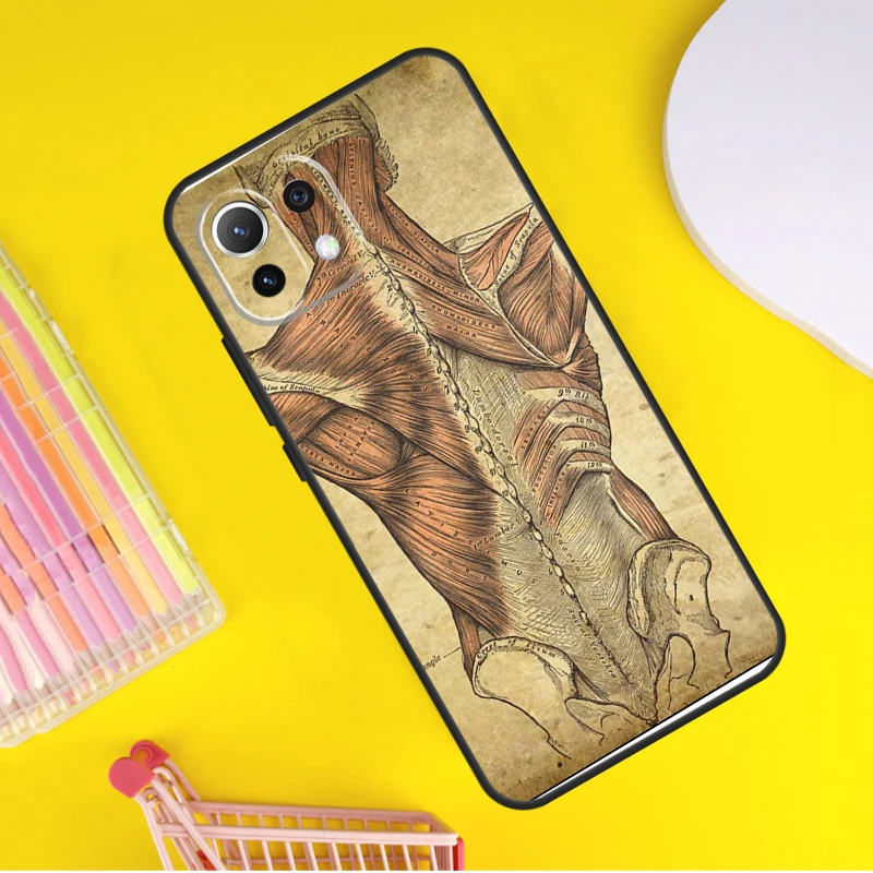 Medical Human Anatomy For POCO F5 X3 X4 X5 Pro F3 F4 GT M5s C40 Case For Xiaomi 13 12 Lite 12X 11T 12T Pro Cover