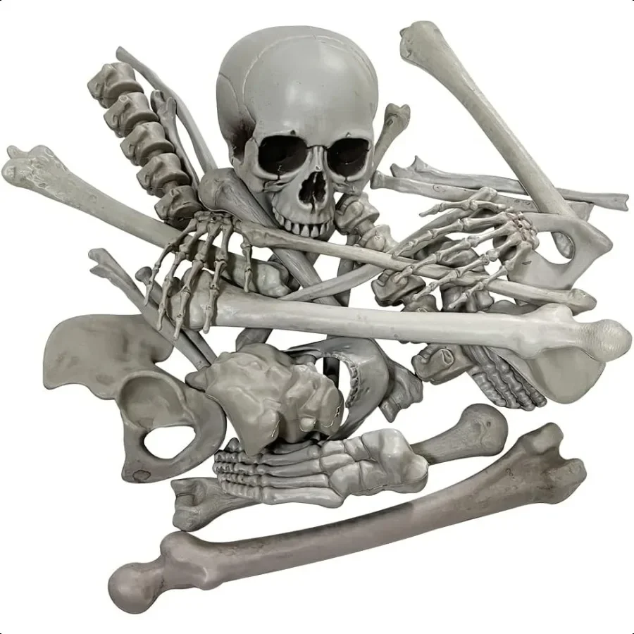

Halloween Skeleton Bones Realistic Looking Skulls Human Skeleton For Halloween Scary Graveyard Haunted House Lawn Yard Decorati