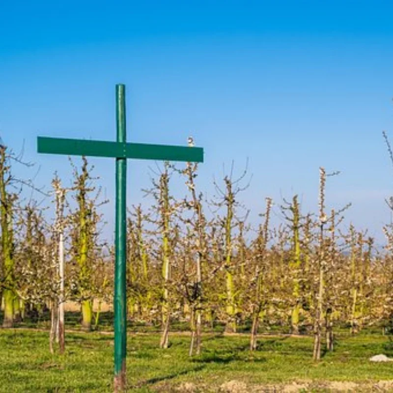 

Полностью металлический рычаг 25T, длина коромысла сервопривода 33,5 мм, используется для стандартного сервопривода KST 25T-6C, MINI, оригинал без KST