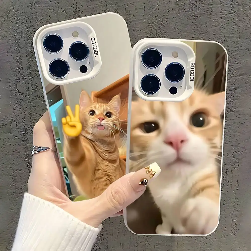 

Phone Case For iPhone 17,16,15,14,13,12,11,Pro,XS,Max,Plus,Mini,SE Hot Cat Meme White Candy Matte Shockproof Cover