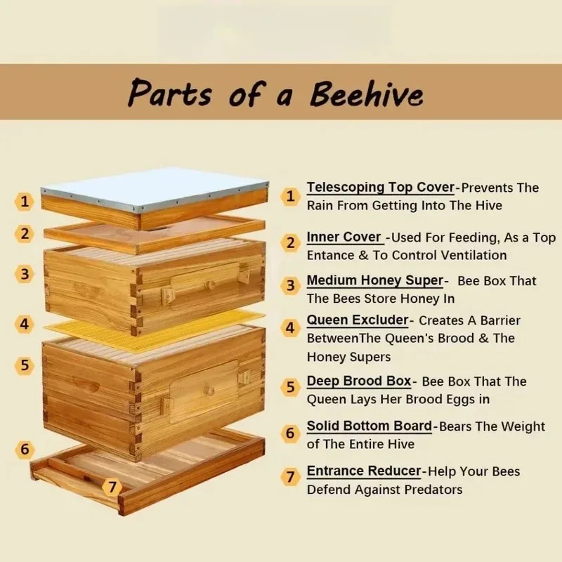 

Стартовый набор для пчелиного улья на 10 рамок с вощеной основой, коробками для глубокого и среднего улья