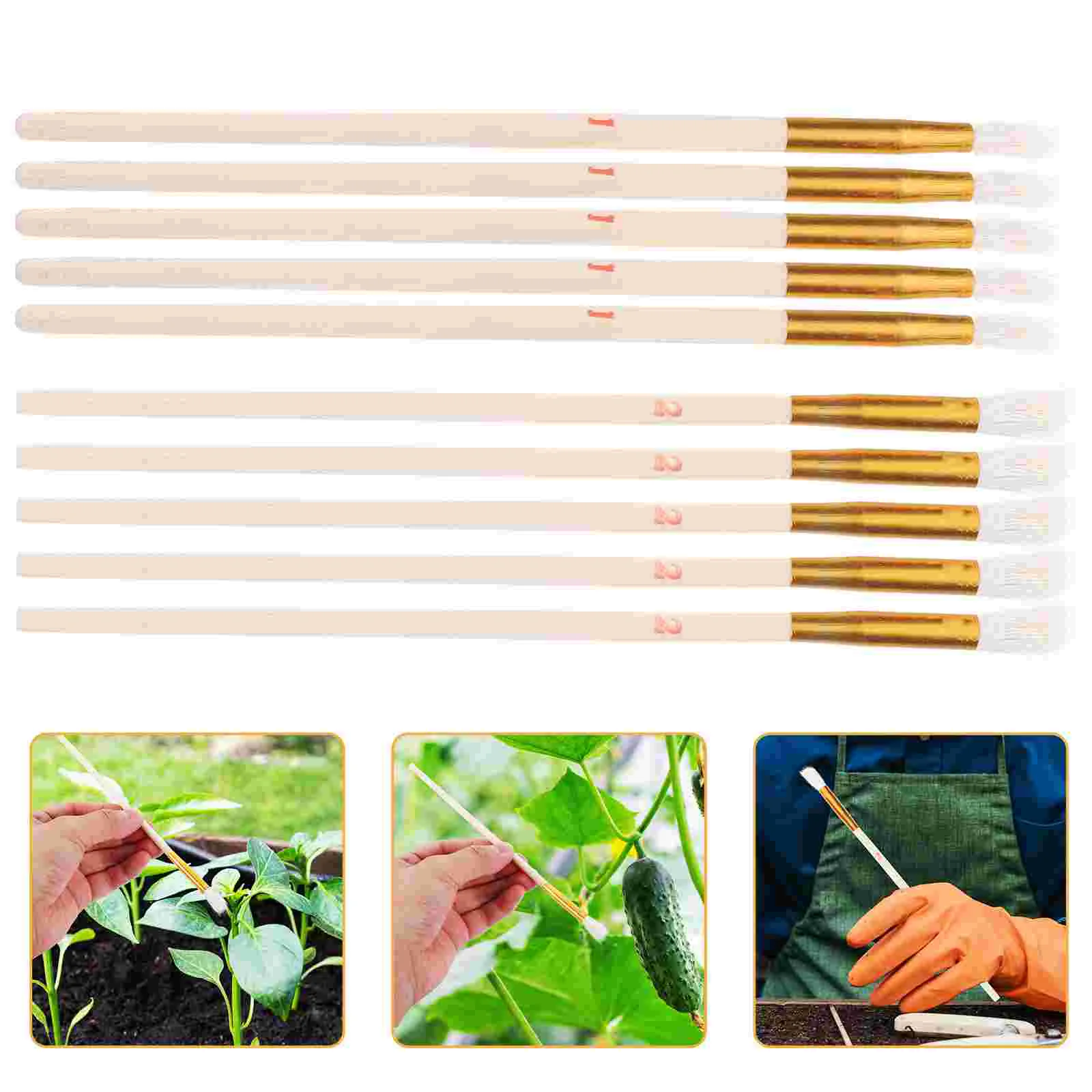 

20 Pcs Artificial Chalk Gardening Tools Flower Pollinator Plants Bee Supplies for Tree Wool Kiwi Fruit Planting