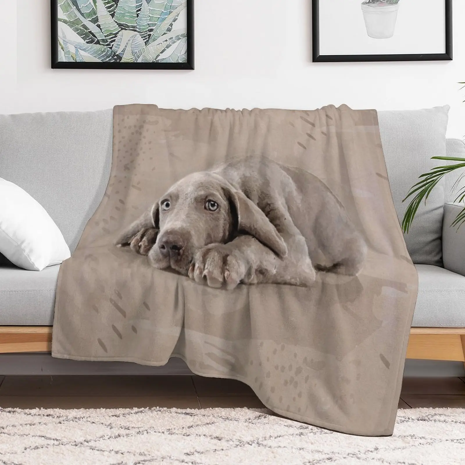 

Weimaraner puppy Throw Blanket valentine gift ideas Plaid on the sofa Large Blankets