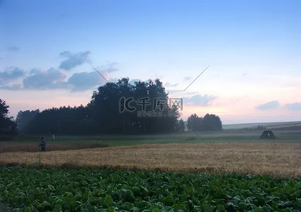 

Комплект из 4 шин 17 мм с шестигранным креплением для ARRMA 1/7 Firebird, FELONY, FSR, Flying God, Mustang GT, Flat Running, Da, DA GT, для гонок по шоссе