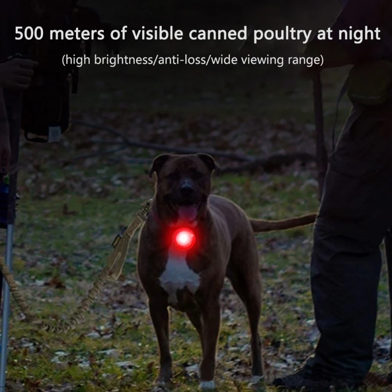 Dog Cat Collar LED Light Dog Collar Lights Waterproof Dog Night Light Portable for Night Walking for Small Pet Collar Light