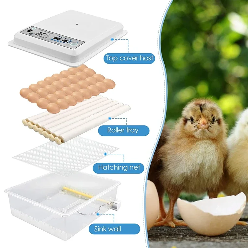 64 Egg Automatic Incubator Farm Hatchery Incubator Brooder Machine with Automatic Turner Hatcher Chicken Incubation Equipment