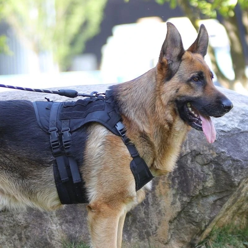 Practical gran chaleco perros Arnés para perros para entrenar caminatas y diversión aire libre C7AC