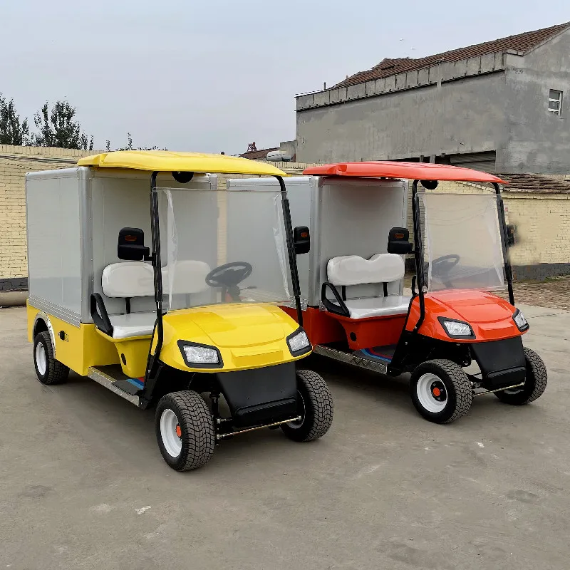 

2023 New Design Home Mini 2-Seater Electric Golf Cart With Fully Enclosed Cargo Box Supports Solar Panel Power Generation