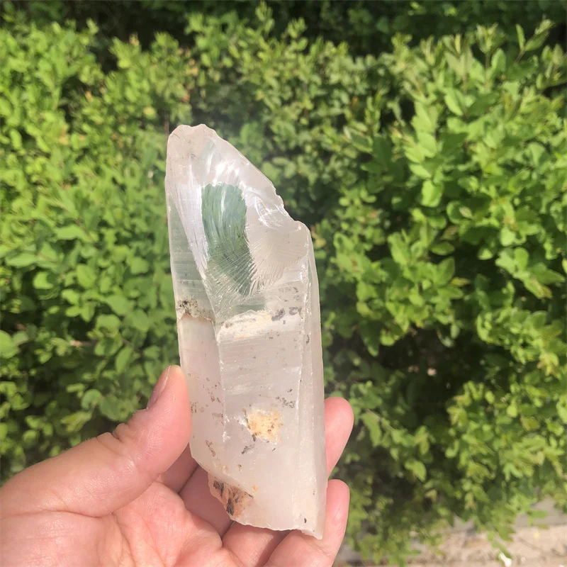 277g Clear Lemurian Seed Quartz Natural Point Cluster Crystal Rough Healing