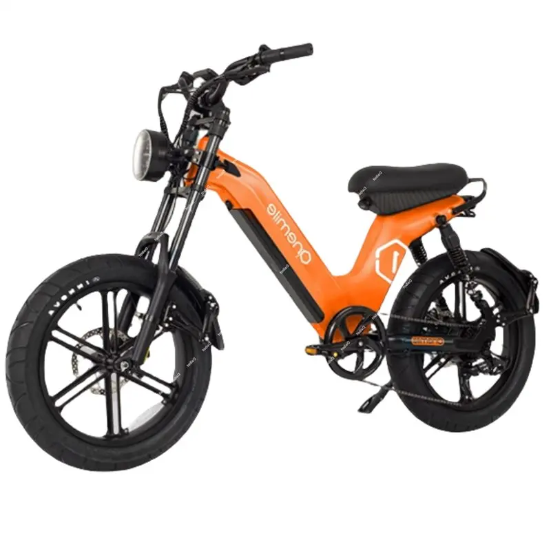 2024 Electric Bicycle Fatbike Detachable Battery 400w 48v 20-inch Electric Bike For Long Distance With Bluetooth Unlocked